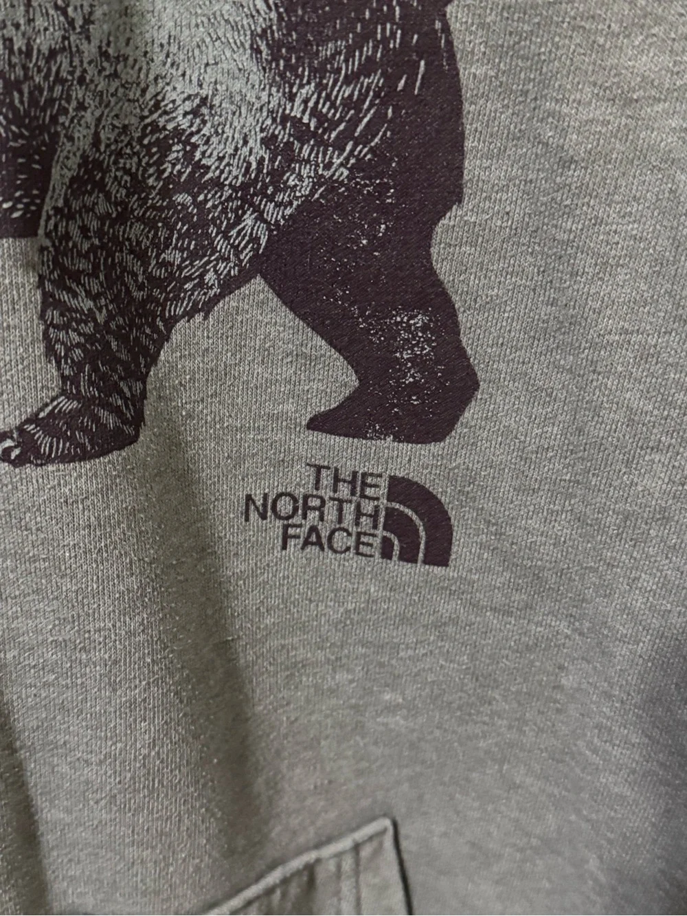 The North Face Bear Graphic Hoodie Men’s Small Gray Pullover Sweatshirt